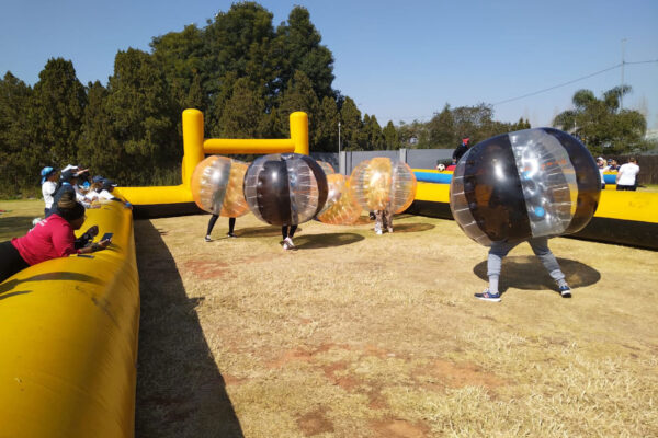 Bubble-Mania6