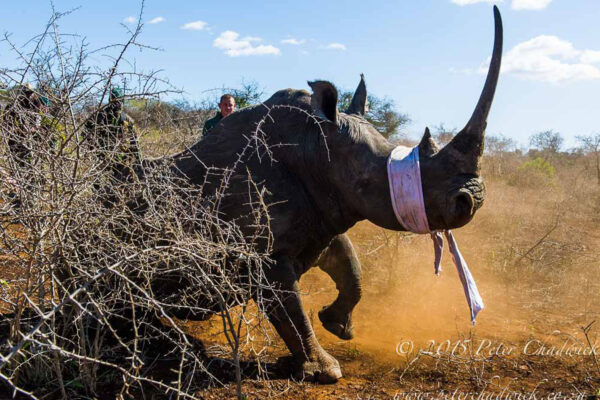 Conservation-outreach Conservation-outreach